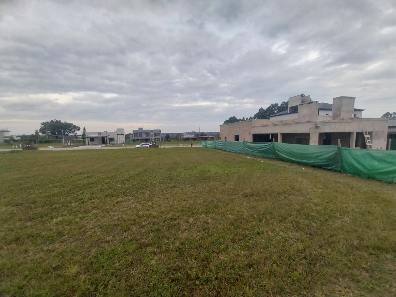 ||| LOTE 420M2 EN ALONDRA |||
